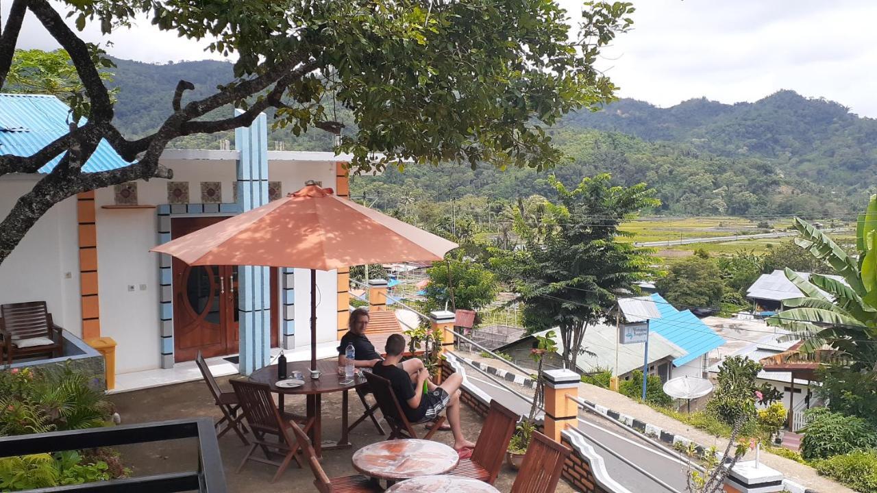 Bintang Bungalow Tour & Travel クリムトゥ エクステリア 写真
