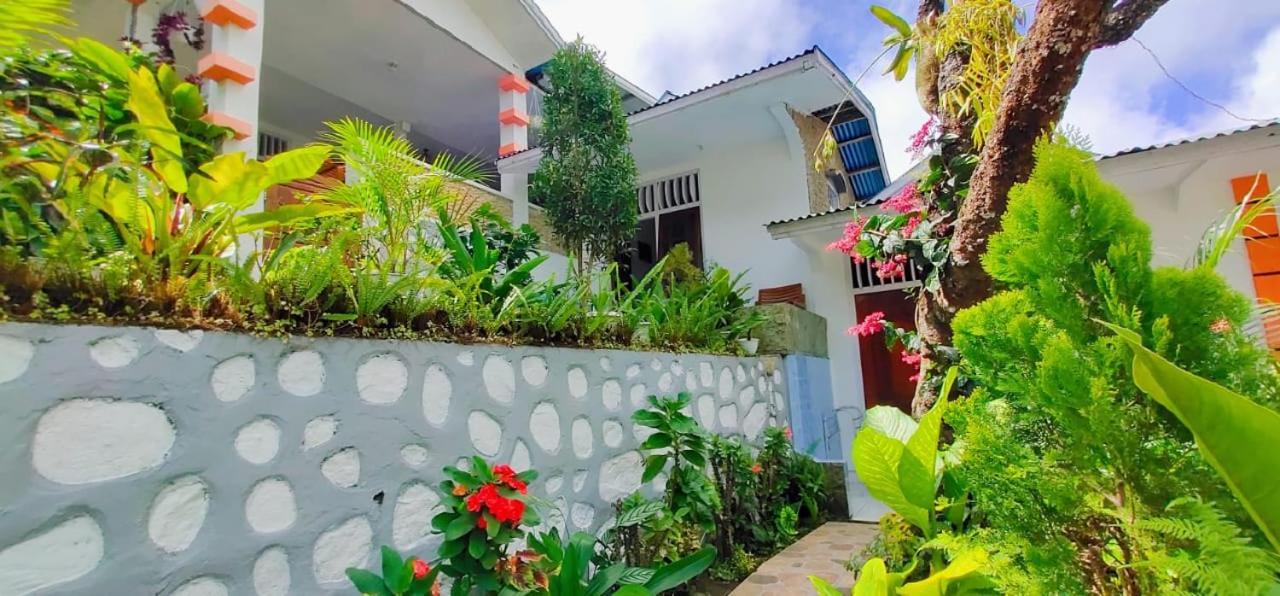 Bintang Bungalow Tour & Travel クリムトゥ エクステリア 写真