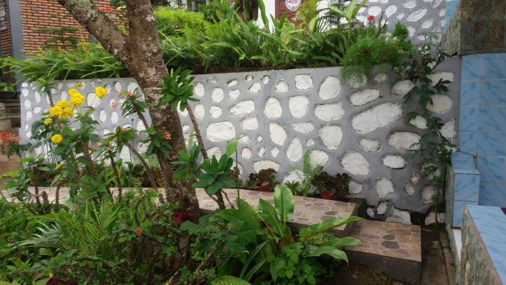 Bintang Bungalow Tour & Travel クリムトゥ エクステリア 写真